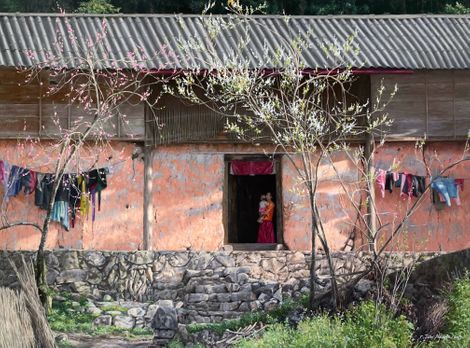 Đợi chờ mùa hoa